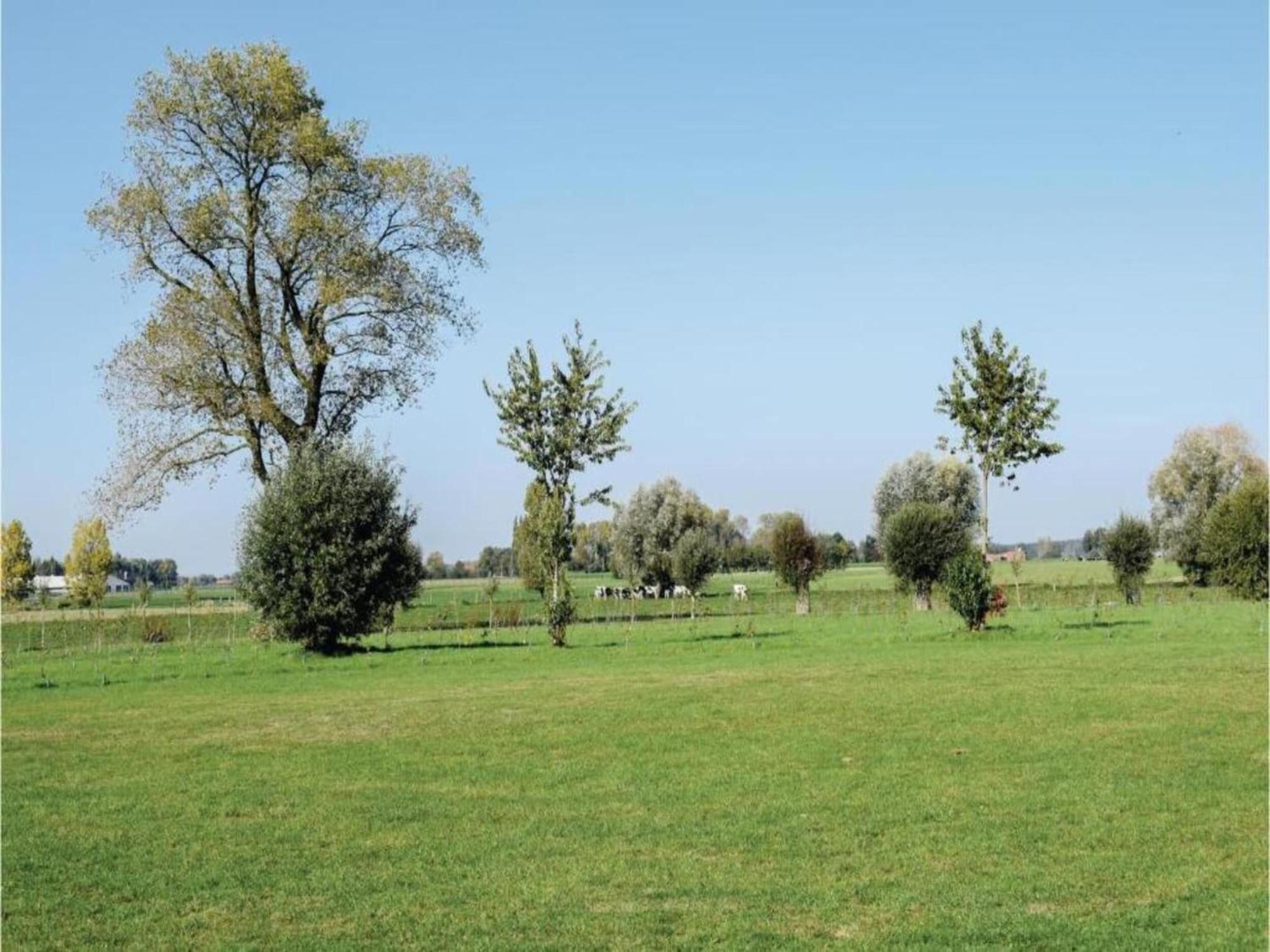 Studio In Ieper With Terrace Εξωτερικό φωτογραφία