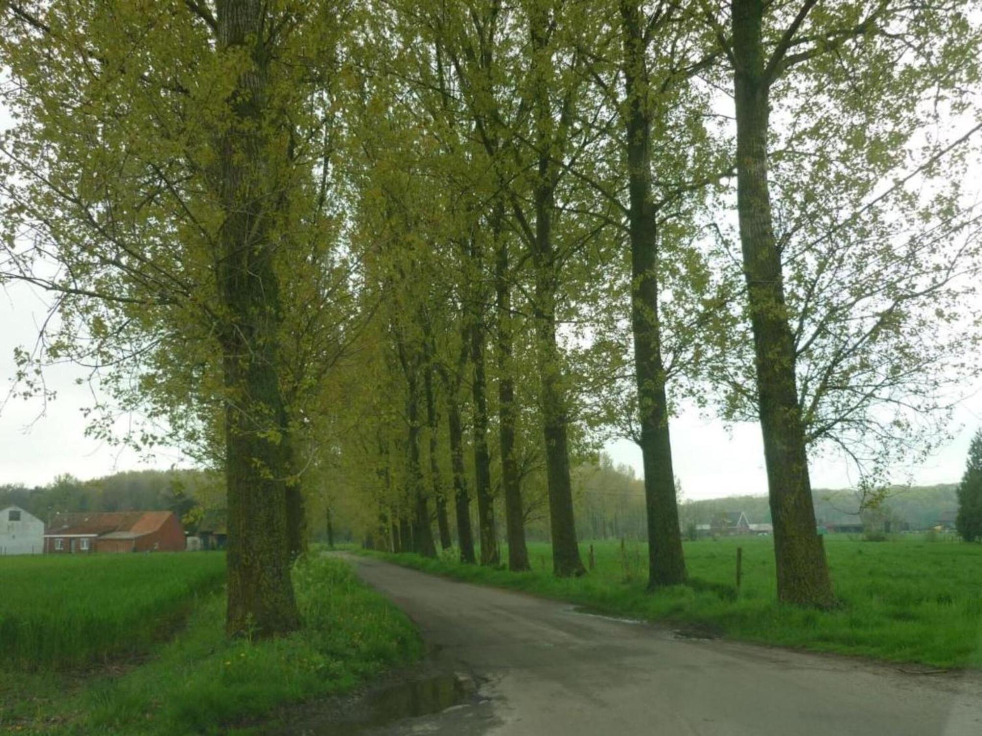 Studio In Ieper With Terrace Εξωτερικό φωτογραφία